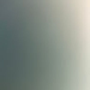 Meet your Posher, Heidy